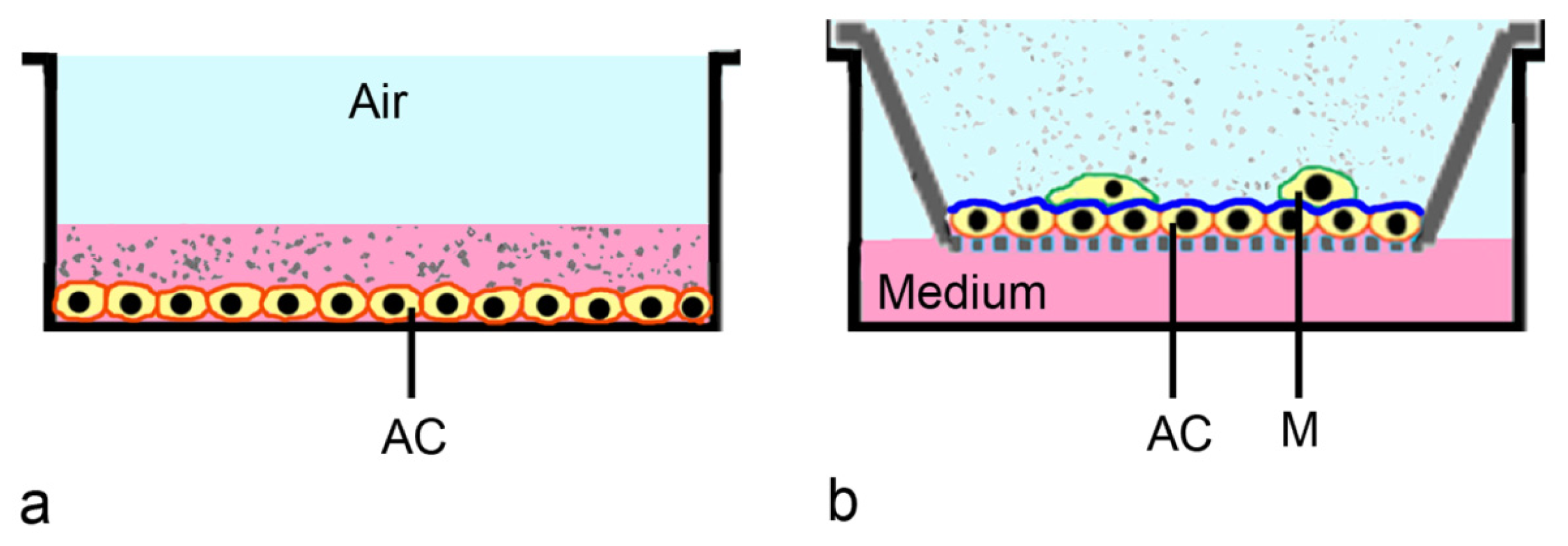 ebook plant and microbe adaptations to cold in a changing world proceedings from plant and microbe adaptations