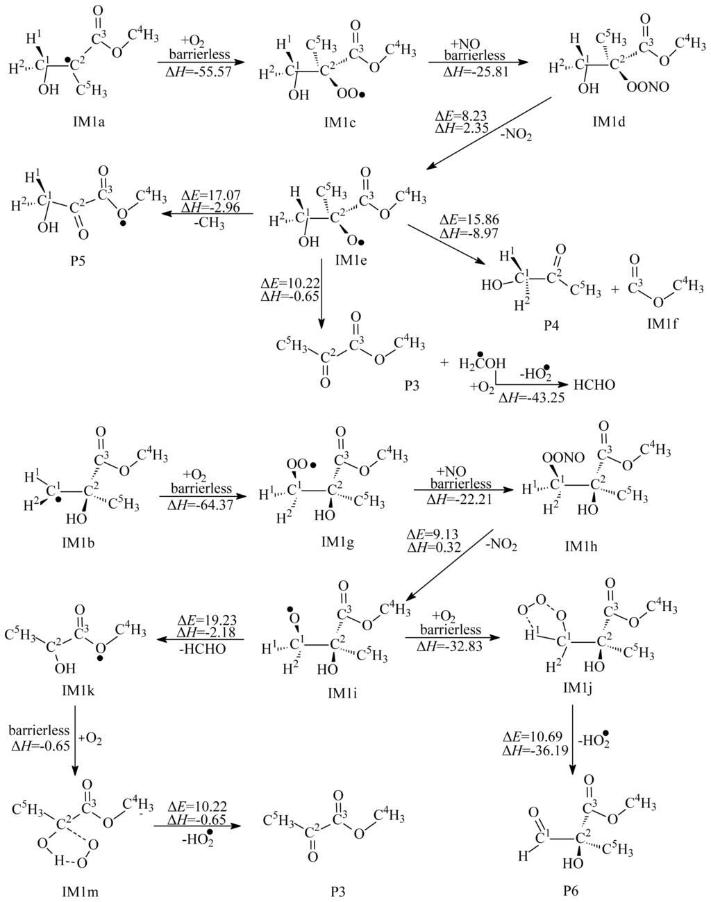 download Neocarzinostatin: The Past, Present, and Future of an Anticancer Drug