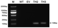 Ijms 15 05063f3 200