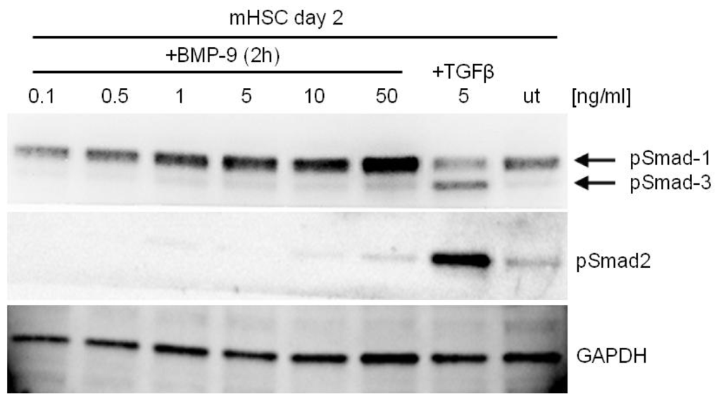 Ijms 15 05199f2 1024