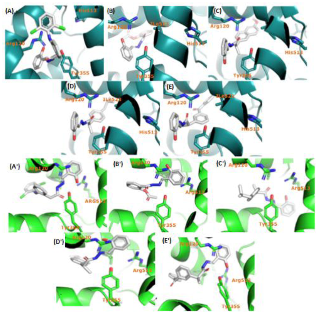 Ijms 15 05821f4 1024