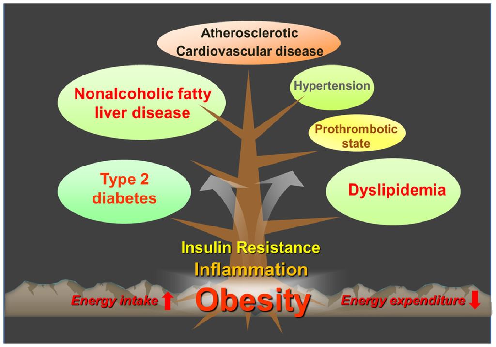 The Relationship Between Childhood Obesity And Fatty Liver Disease