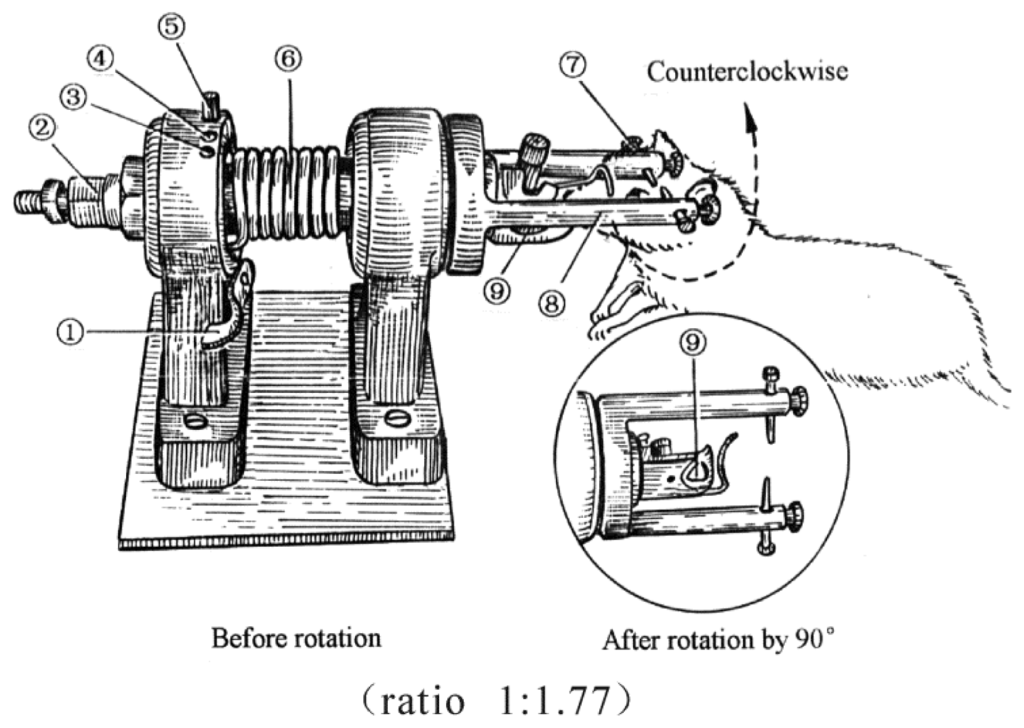 Ijms 15 06378f7 1024