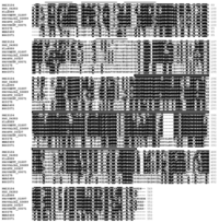 Ijms 15 06689f3 200