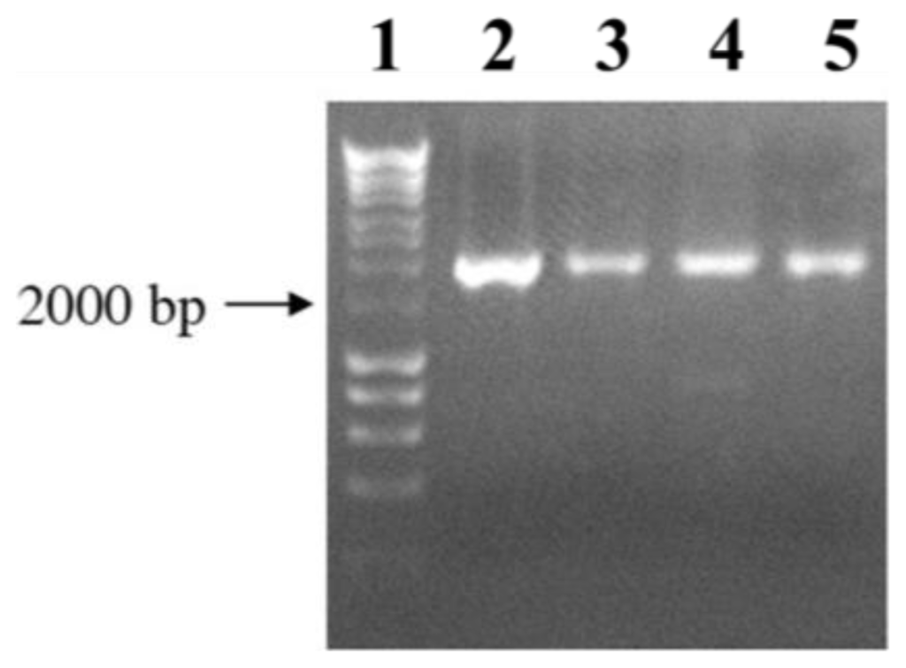 Ijms 15 06689f7 1024