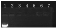 Ijms 15 07049 g002 200