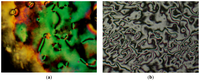 Ijms 15 07579f2 200