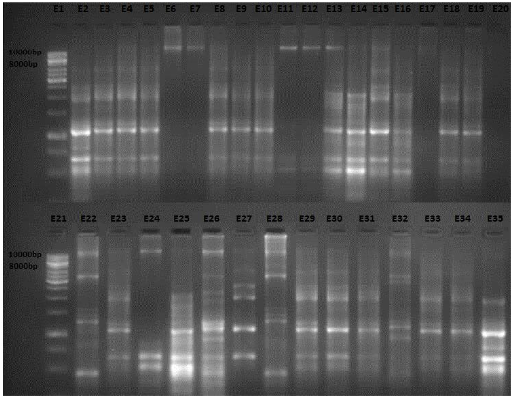 Ijms 15 09735 g001 1024