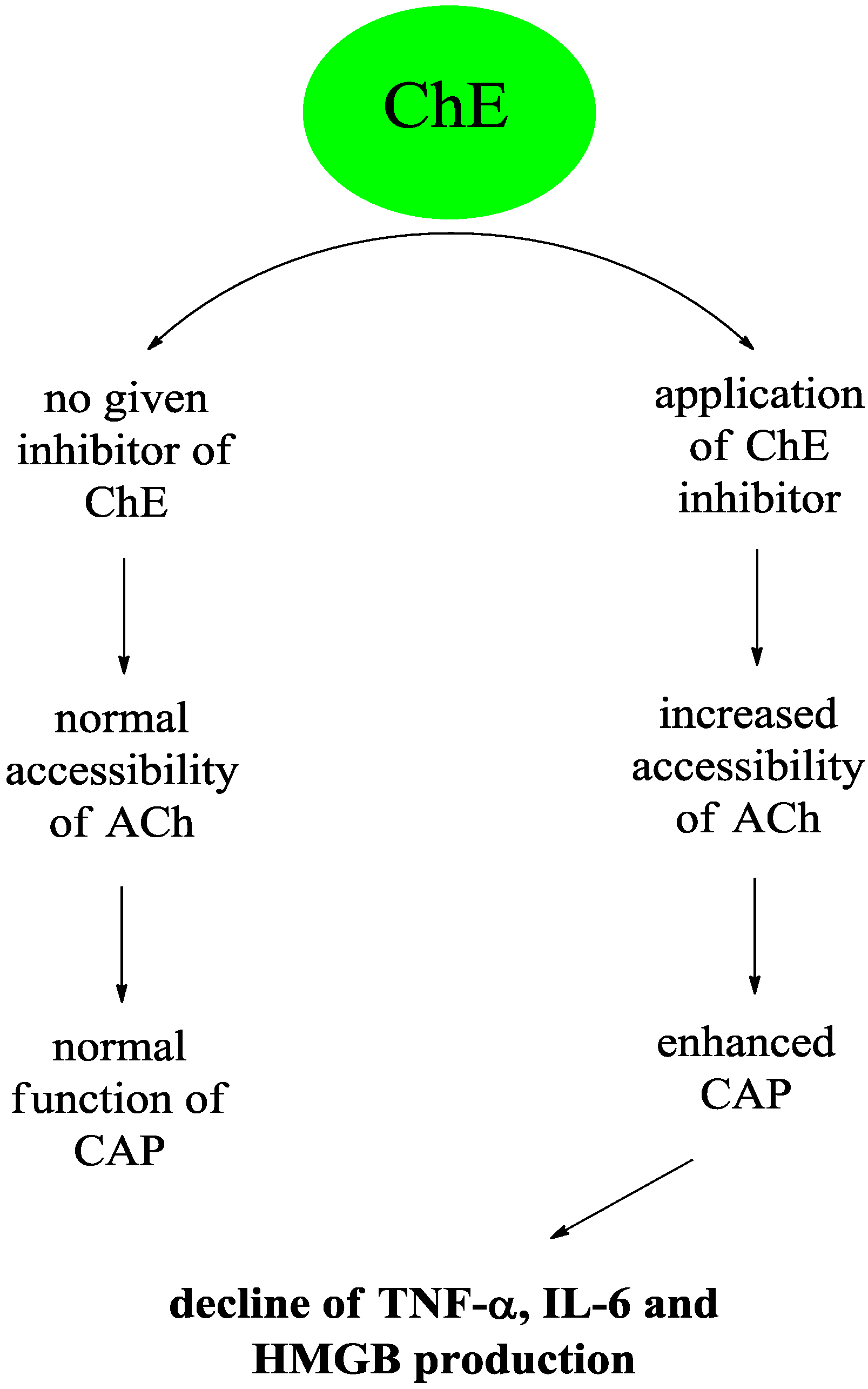 IJMS | Free Full-Text | Inhibitors of Acetylcholinesterase and