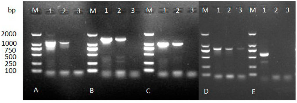 Ijms 15 10215 g002 1024