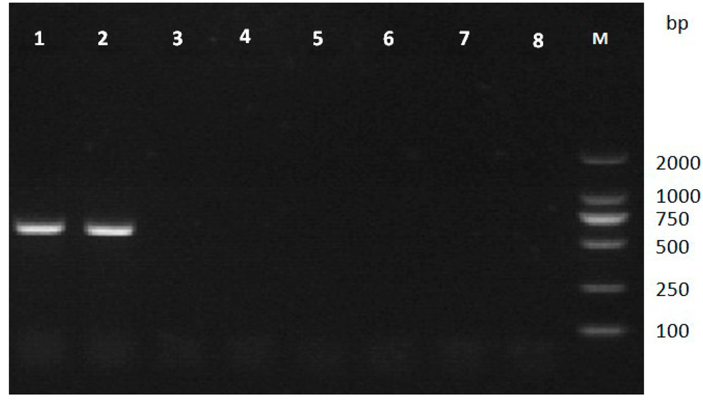 Ijms 15 10215 g003 1024
