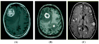 Ijms 15 10508 g001 200