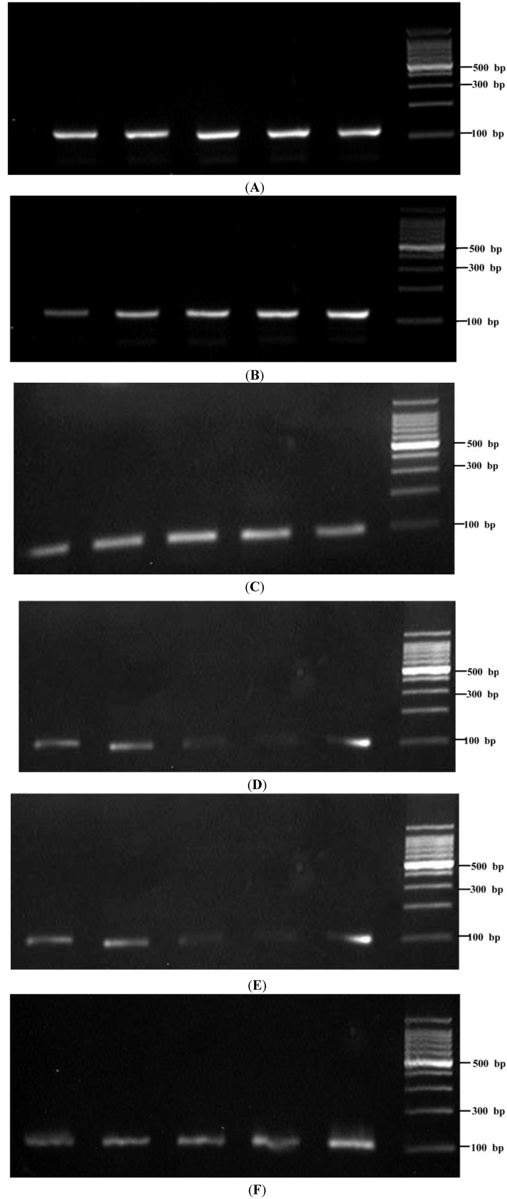 Ijms 15 10766 g005 1024