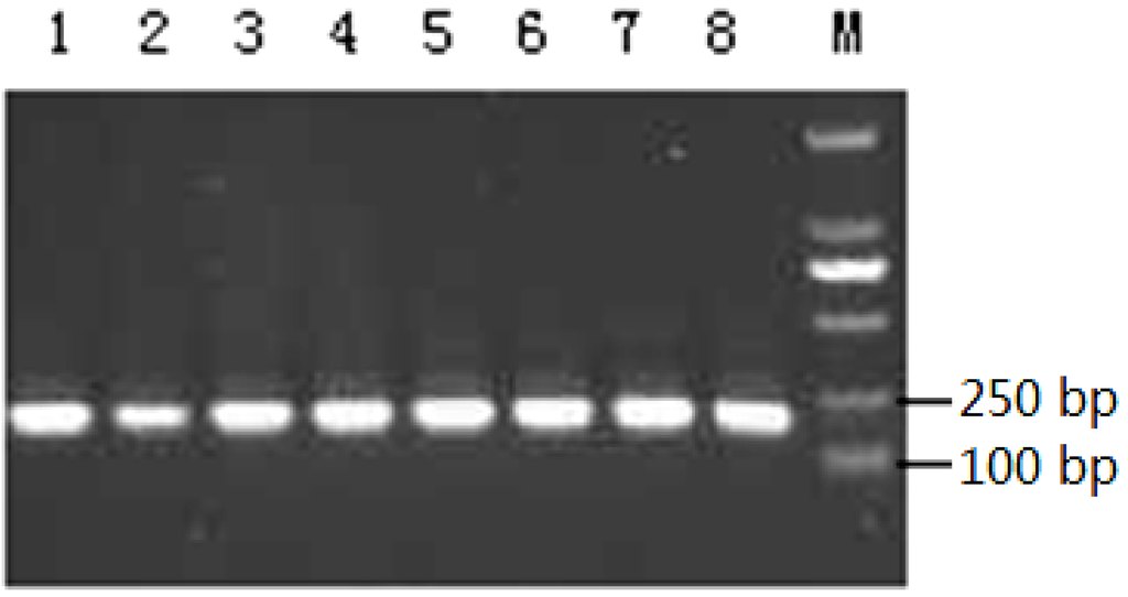 Ijms 15 10989 g002 1024
