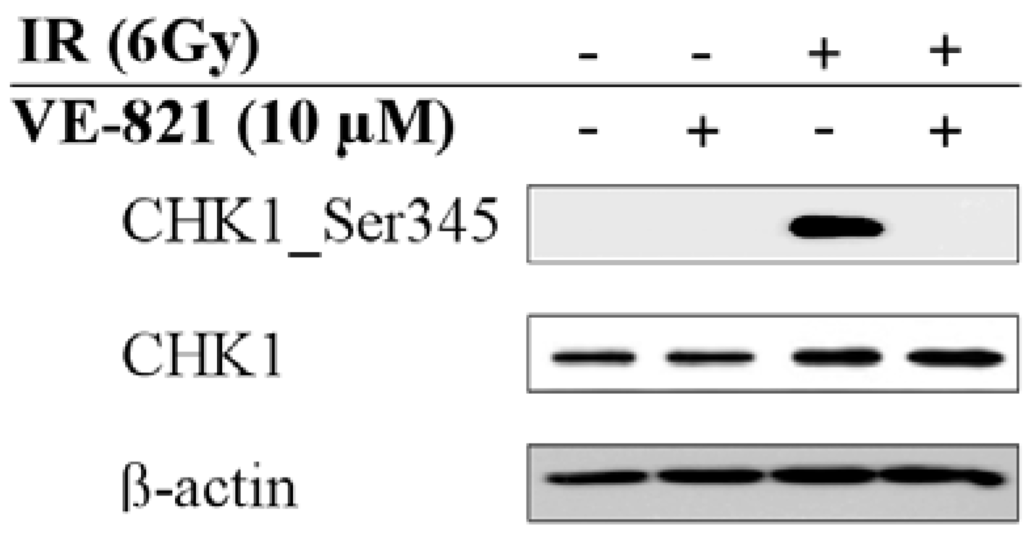 Ijms 15 12007 g001 1024