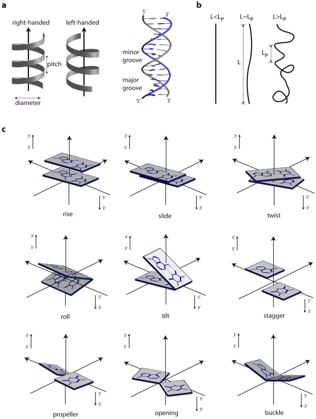 Ijms 15 12335 g001 1024
