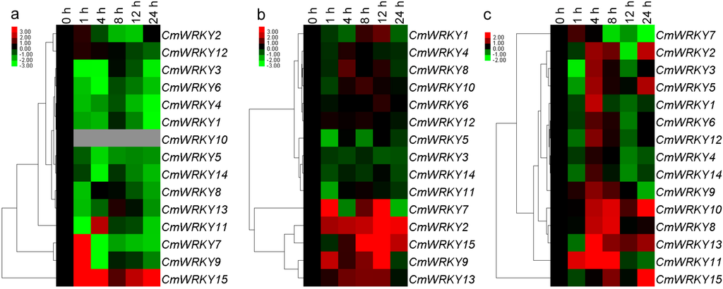 FullText  Phylogenetic and Transcription Analysis of Chrysanthemum 