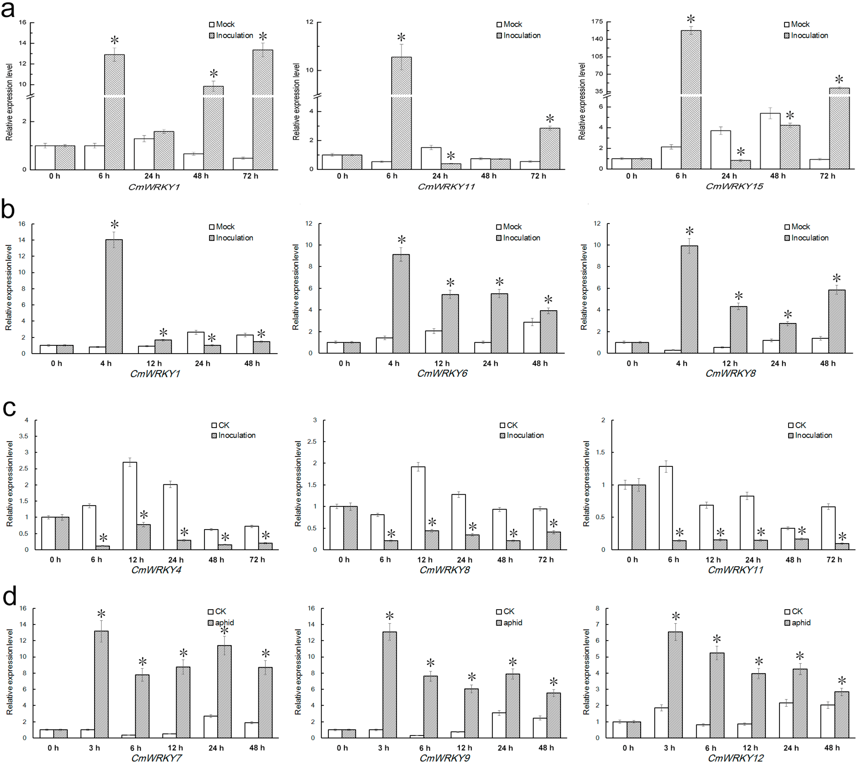 FullText  Phylogenetic and Transcription Analysis of Chrysanthemum 