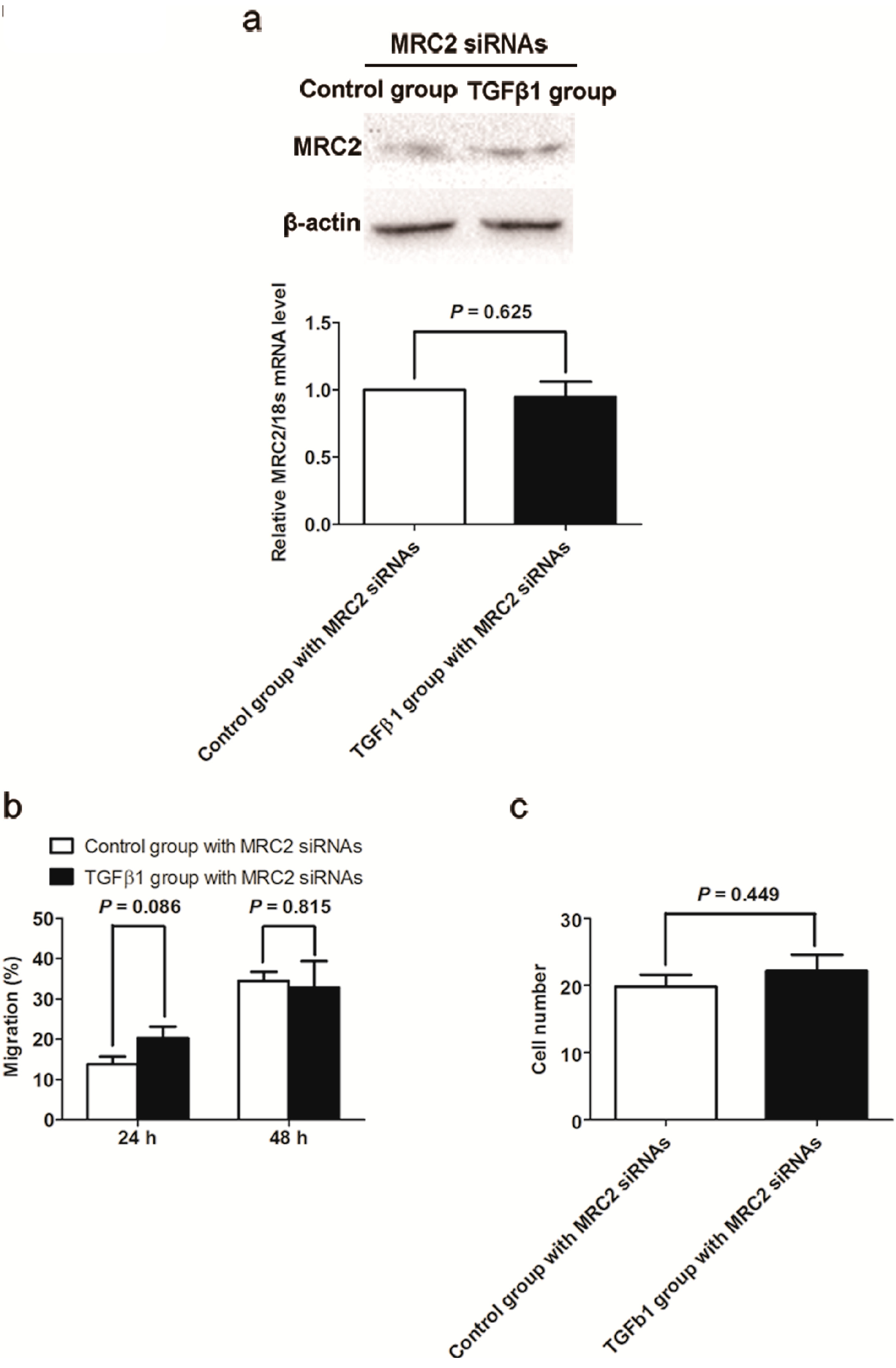 IJMS | Free Full-Text | MRC2 Expression Correlates with TGFβ1 and ...
