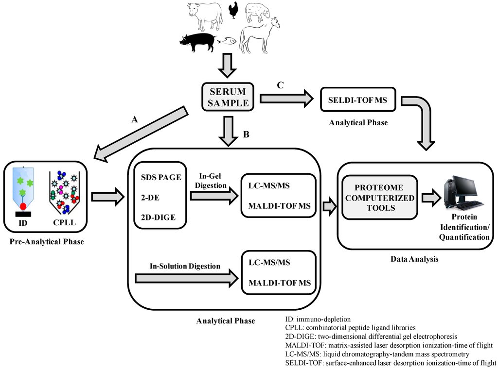 A phenomenological case study of the impact of autism spectrum disorders on the sibling relationship