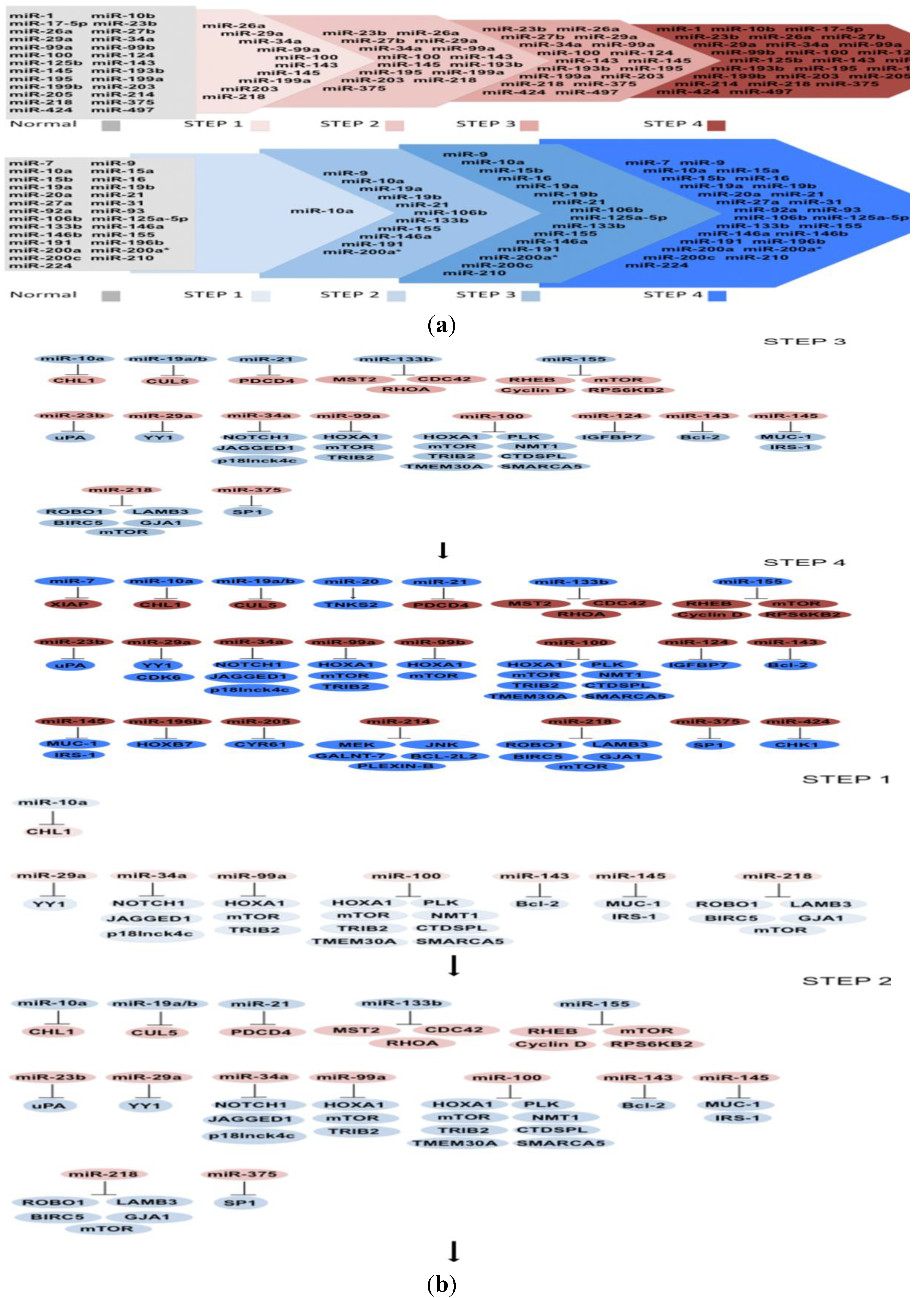 mirnas and genes in cin 2011-06-02 abstract micrornas (mirnas) are an important class of cellular regulators that modulate gene expression and thereby influence cell fate and function in the immune system, mirnas act at checkpoints during. mirnas and genes in cin 2011-06-02 abstract micrornas (mirnas) are an important class of cellular regulators that modulate gene expression and thereby influence cell fate and function in the immune system, mirnas act at checkpoints during.