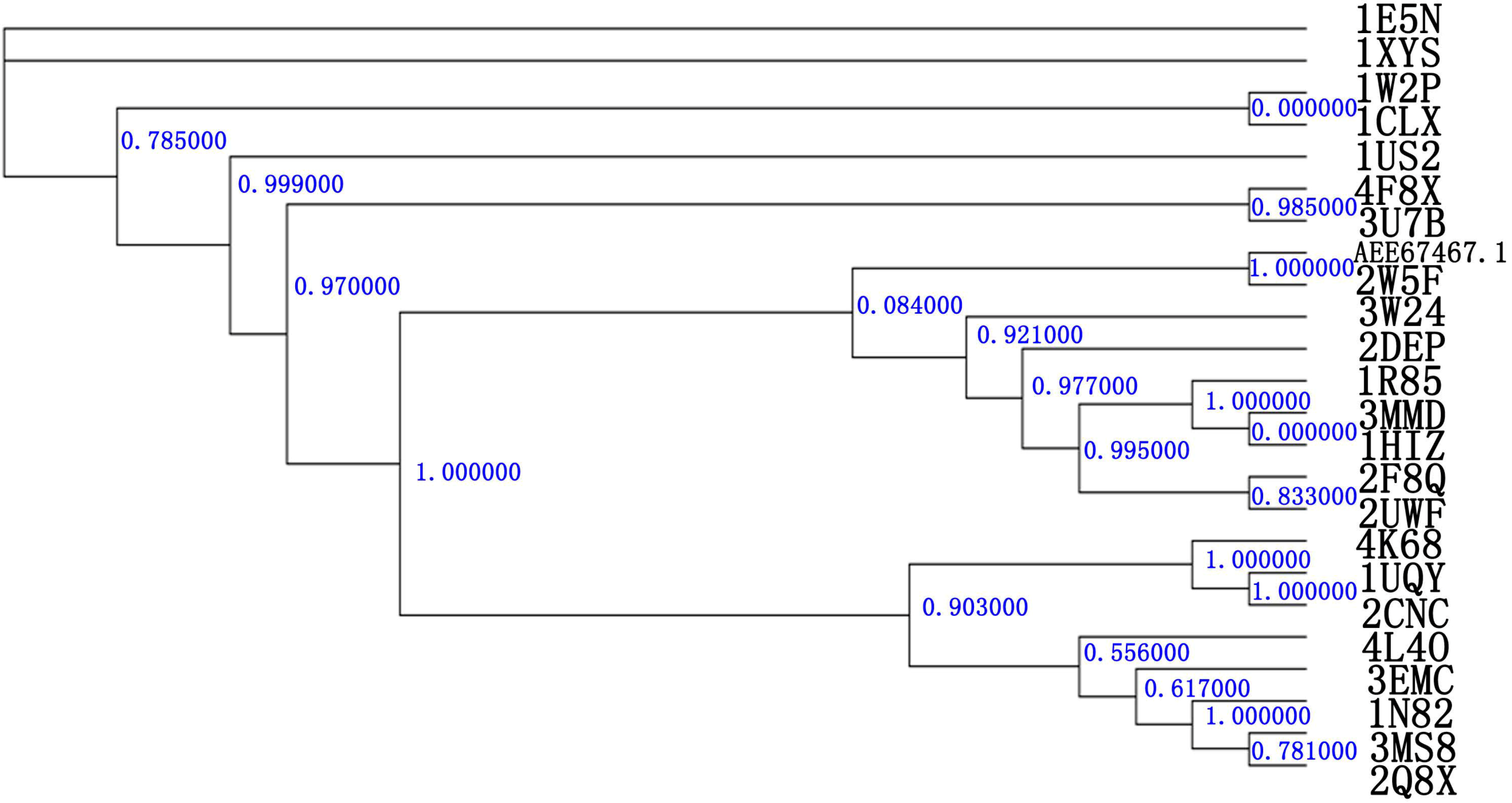 ijms free full text molecular