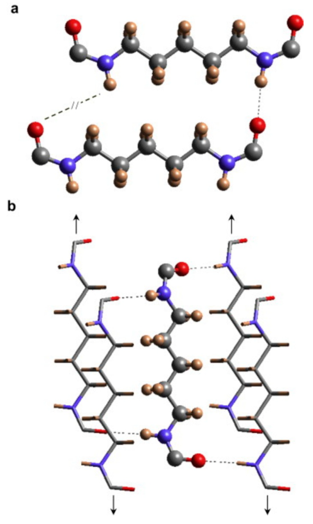 A New Nylon Oligomer Degradation 120