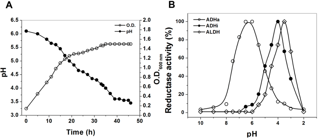 essay on ethanol Alcohol is a form of an intoxicating substance, which is found in wine, beer and liquor, and it is obtained from carbohydrate through metabolisms of microorganisms in. essay on ethanol Alcohol is a form of an intoxicating substance, which is found in wine, beer and liquor, and it is obtained from carbohydrate through metabolisms of microorganisms in.