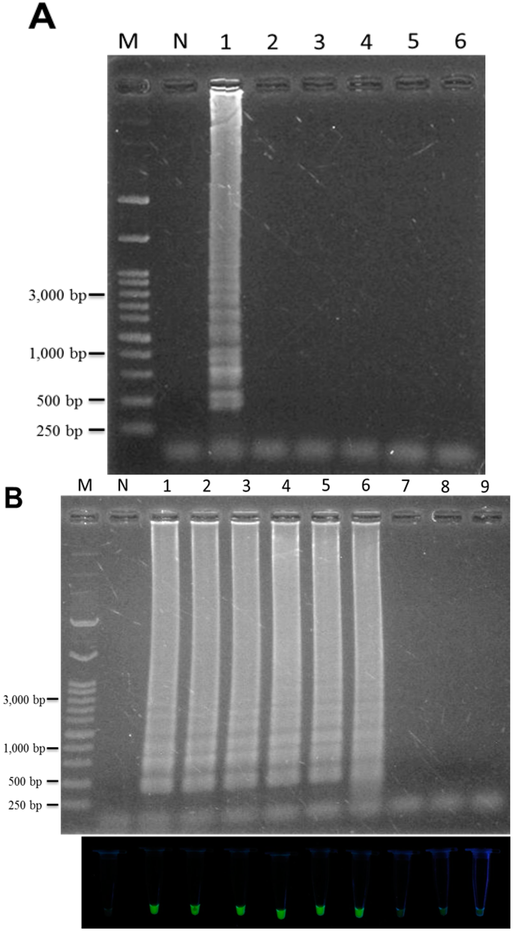 Ijms 16 01562 g003 1024