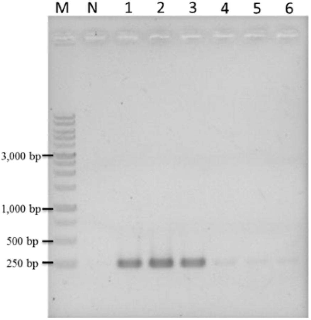 Ijms 16 01562 g004 1024