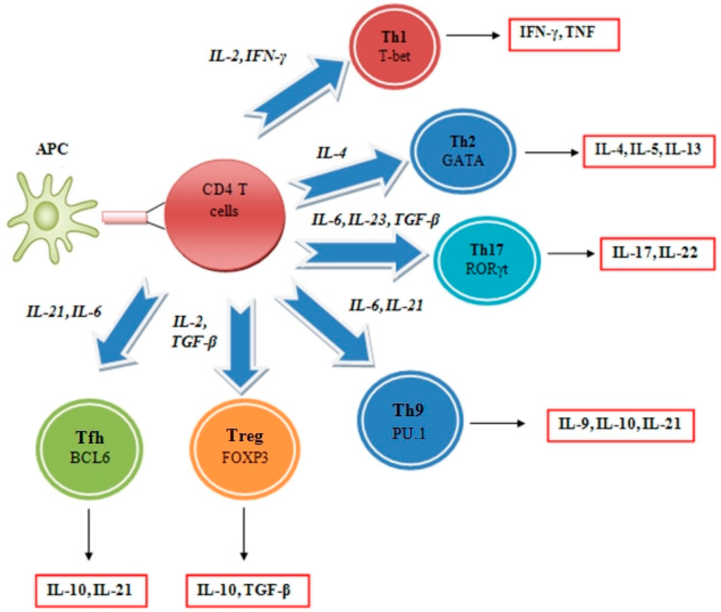 epub From Secretion