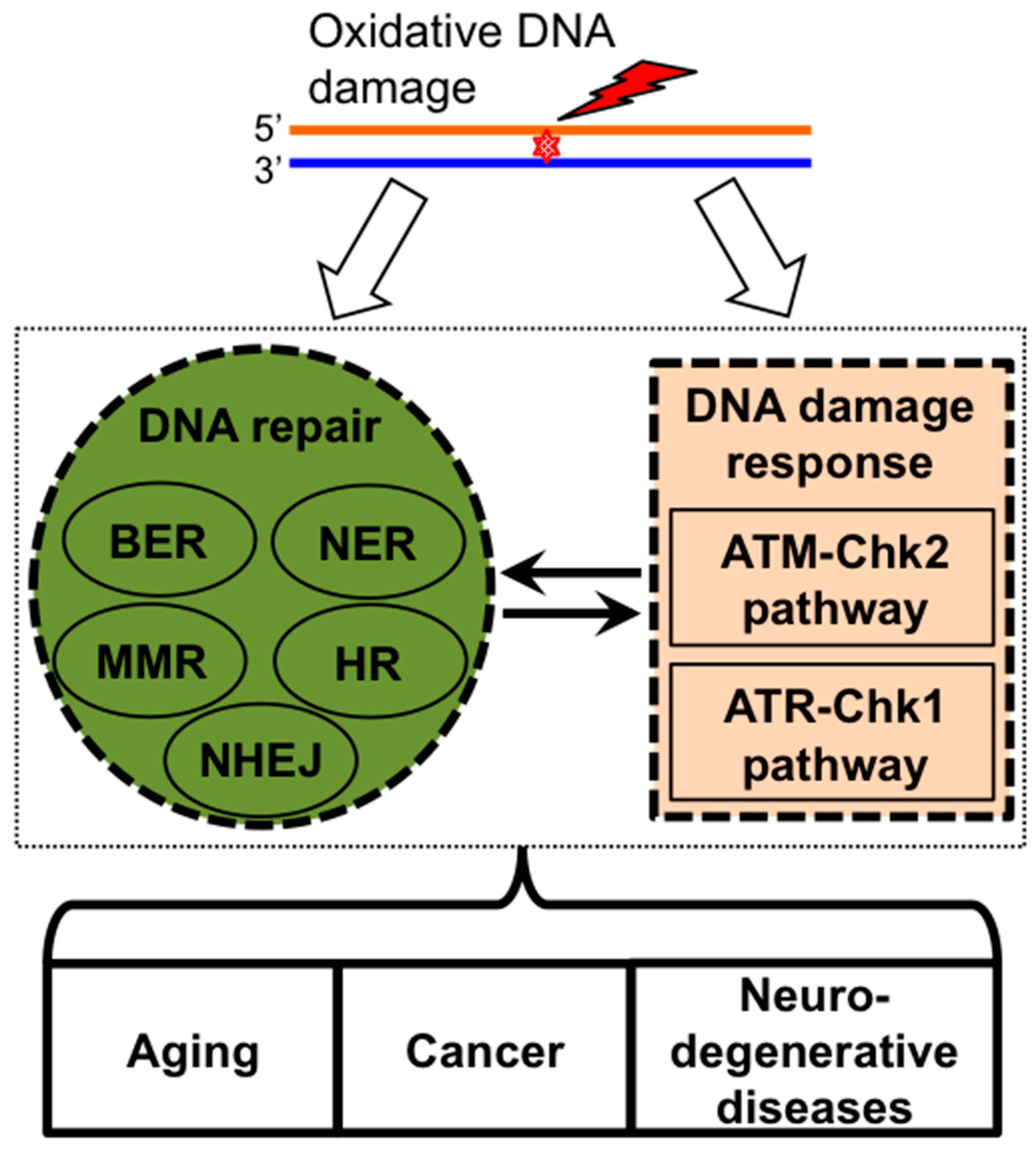 download viral genes