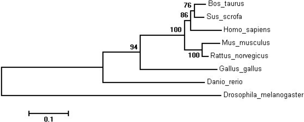 Ijms 16 02458 g001 1024