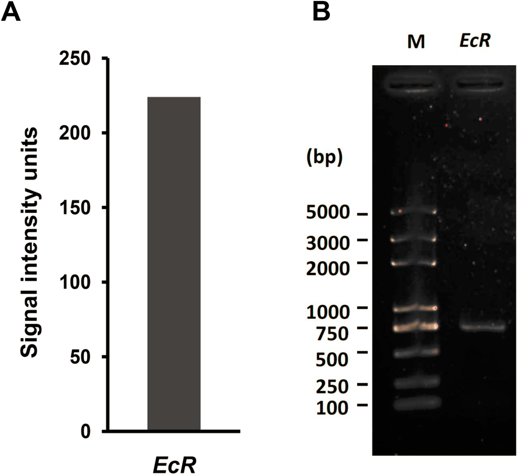 read chemical vapor deposition polymerization the growth and properties of parylene