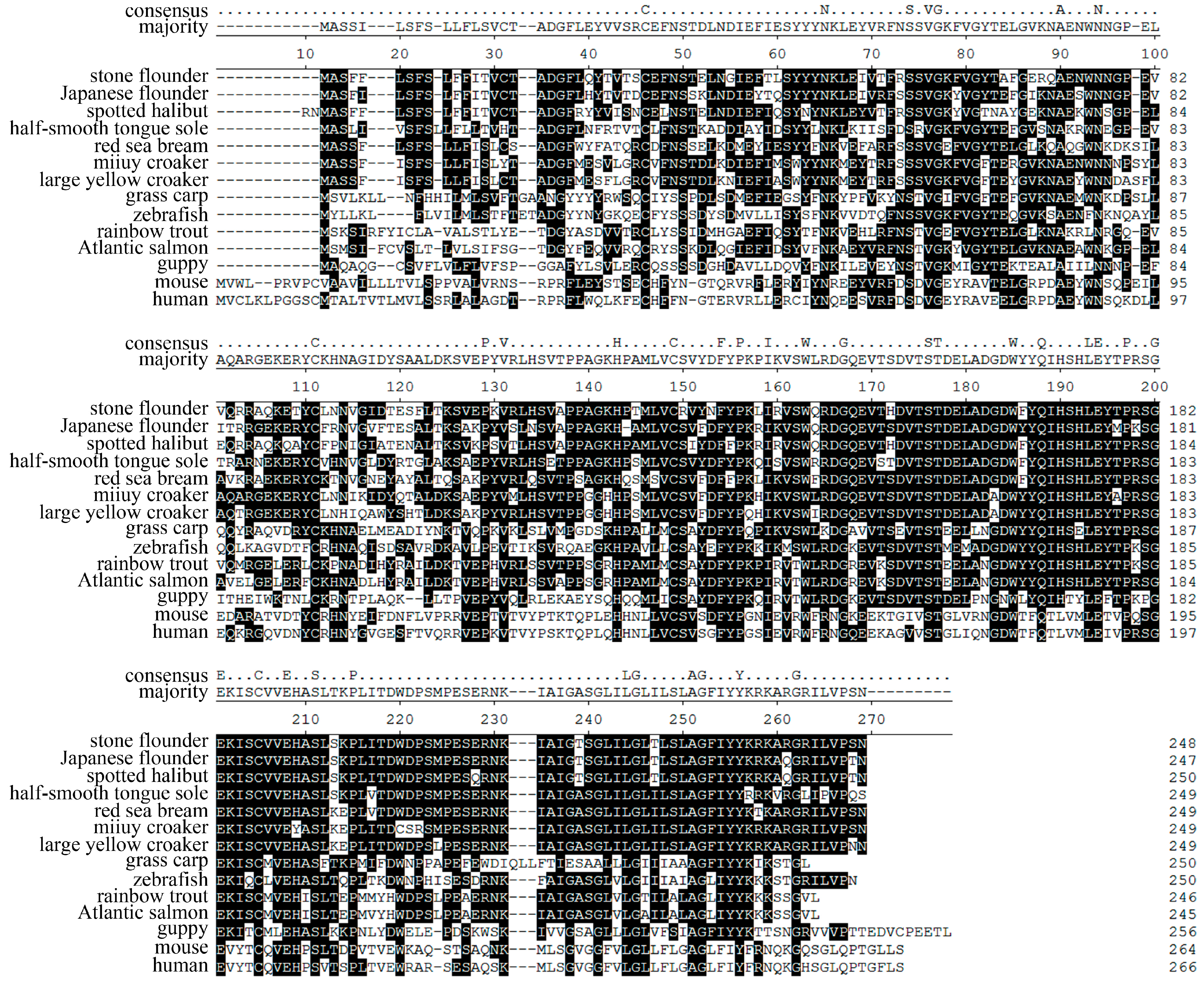 Editseq Software Free Download Editseq Software Free Download