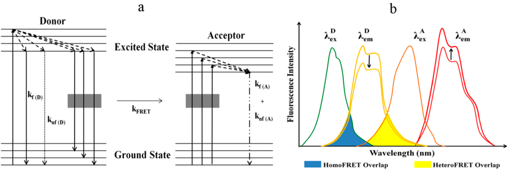 online A Historical Introduction to Mathematical Modeling