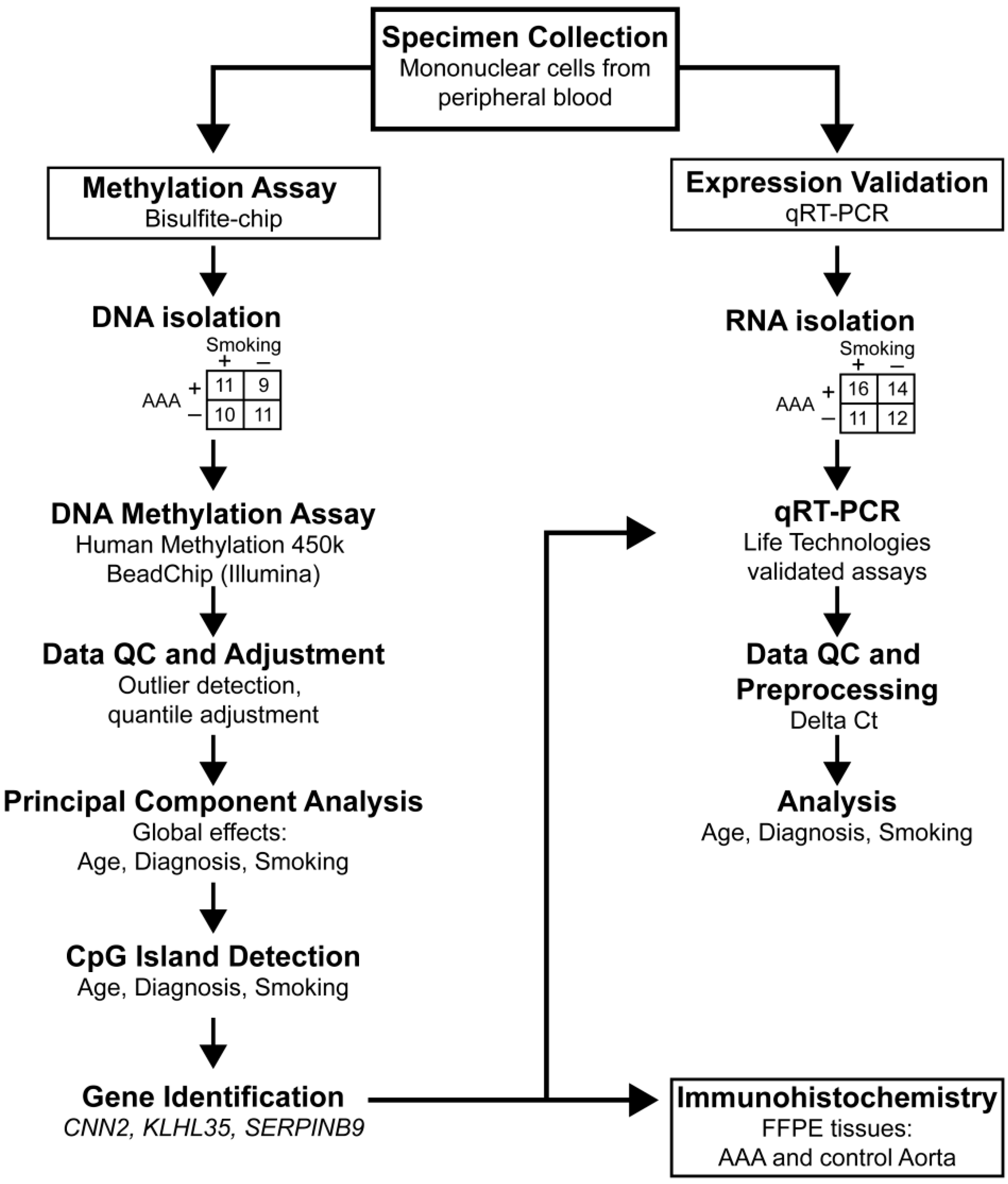 ijms free full text extraction