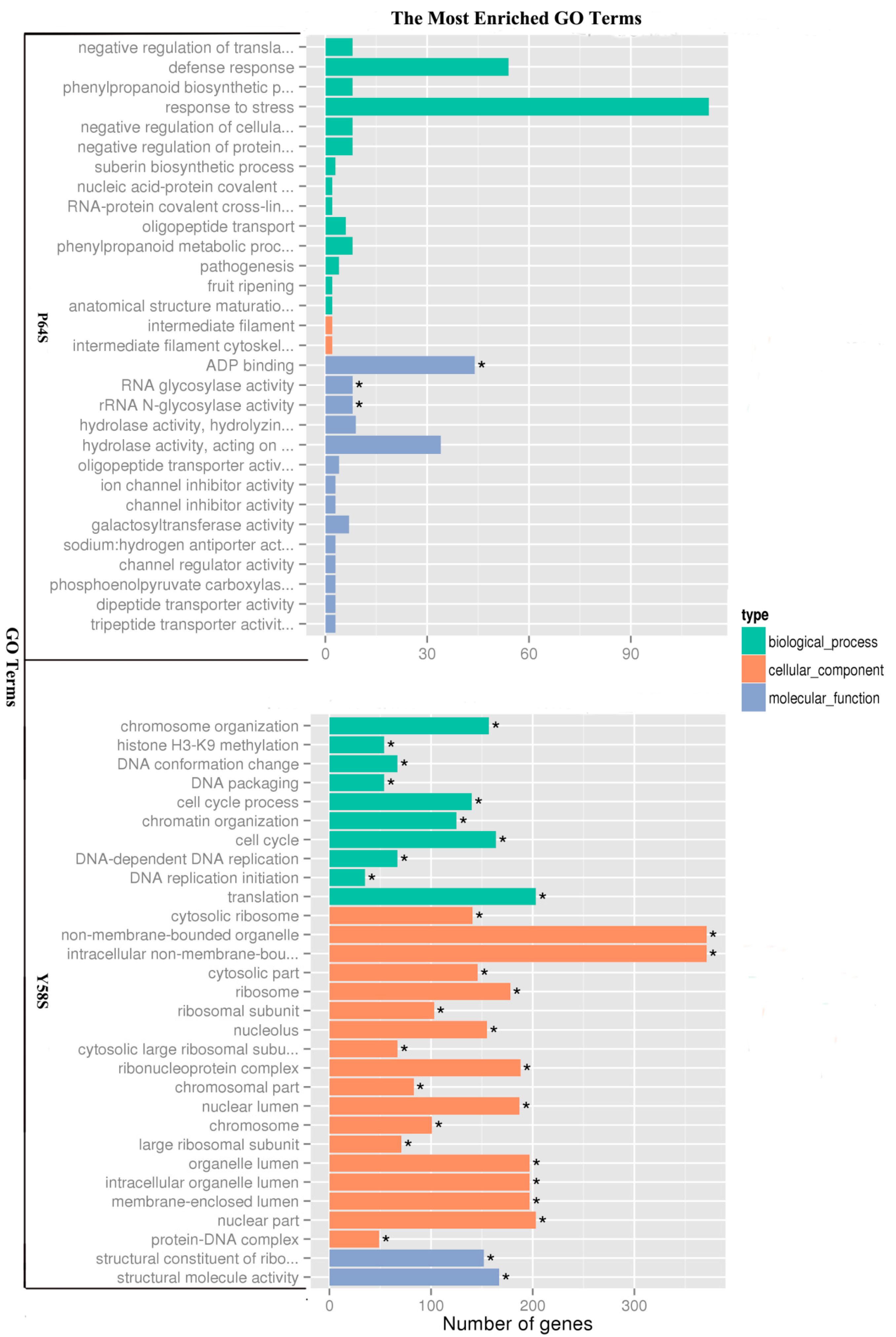 ijms free full text comparative analysis of anther transcriptome choose the letter that indicates the organelle that contains most of a cell s dna