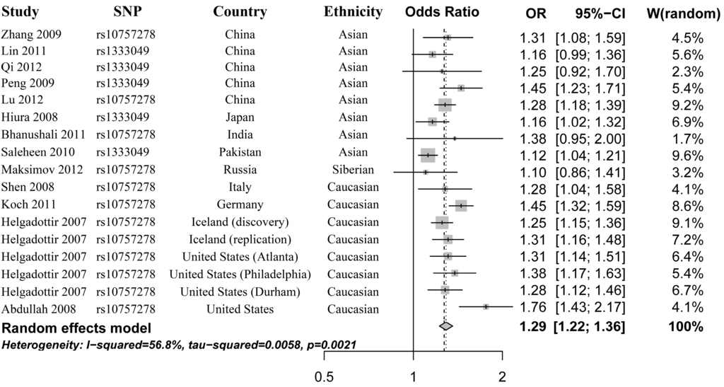 Literary analysis caucasia