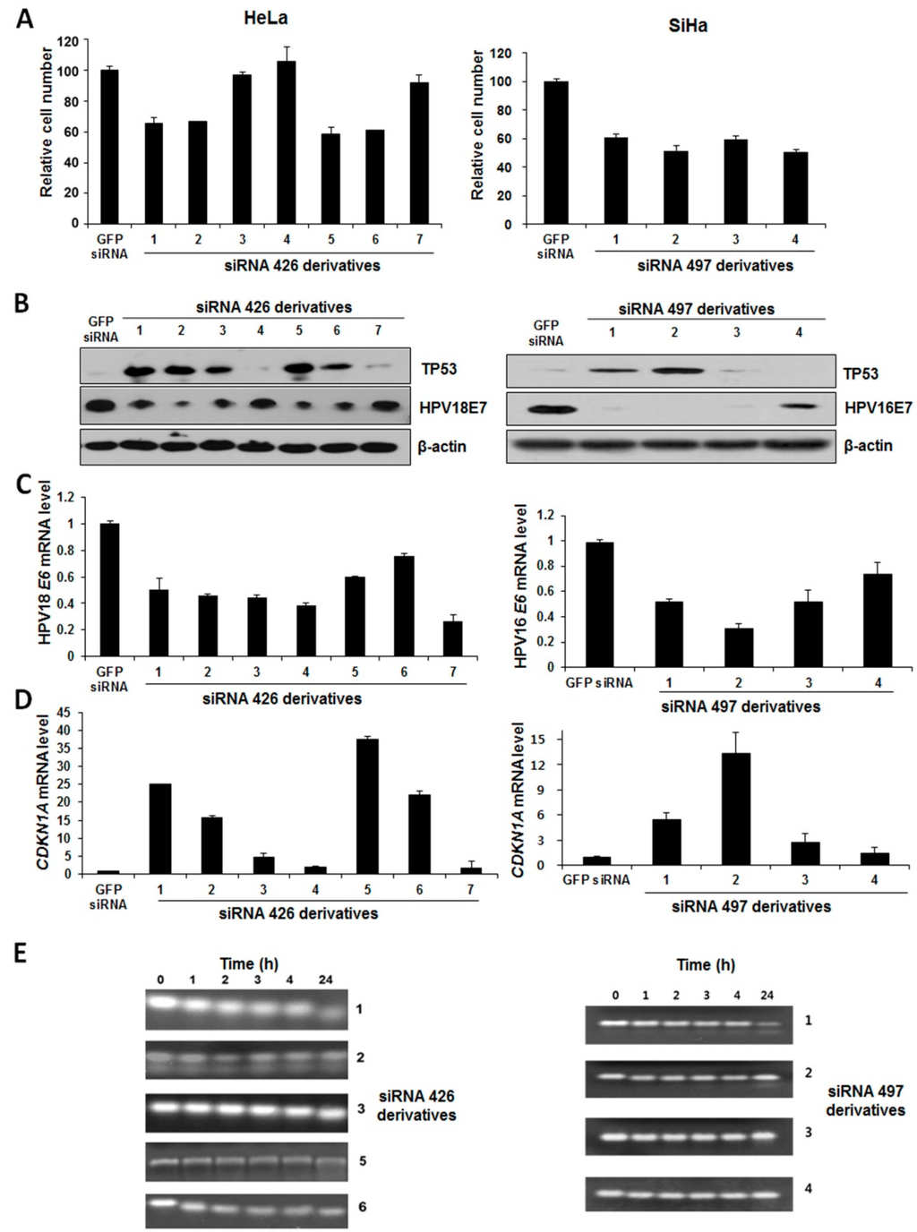 Plasma thesis pdf