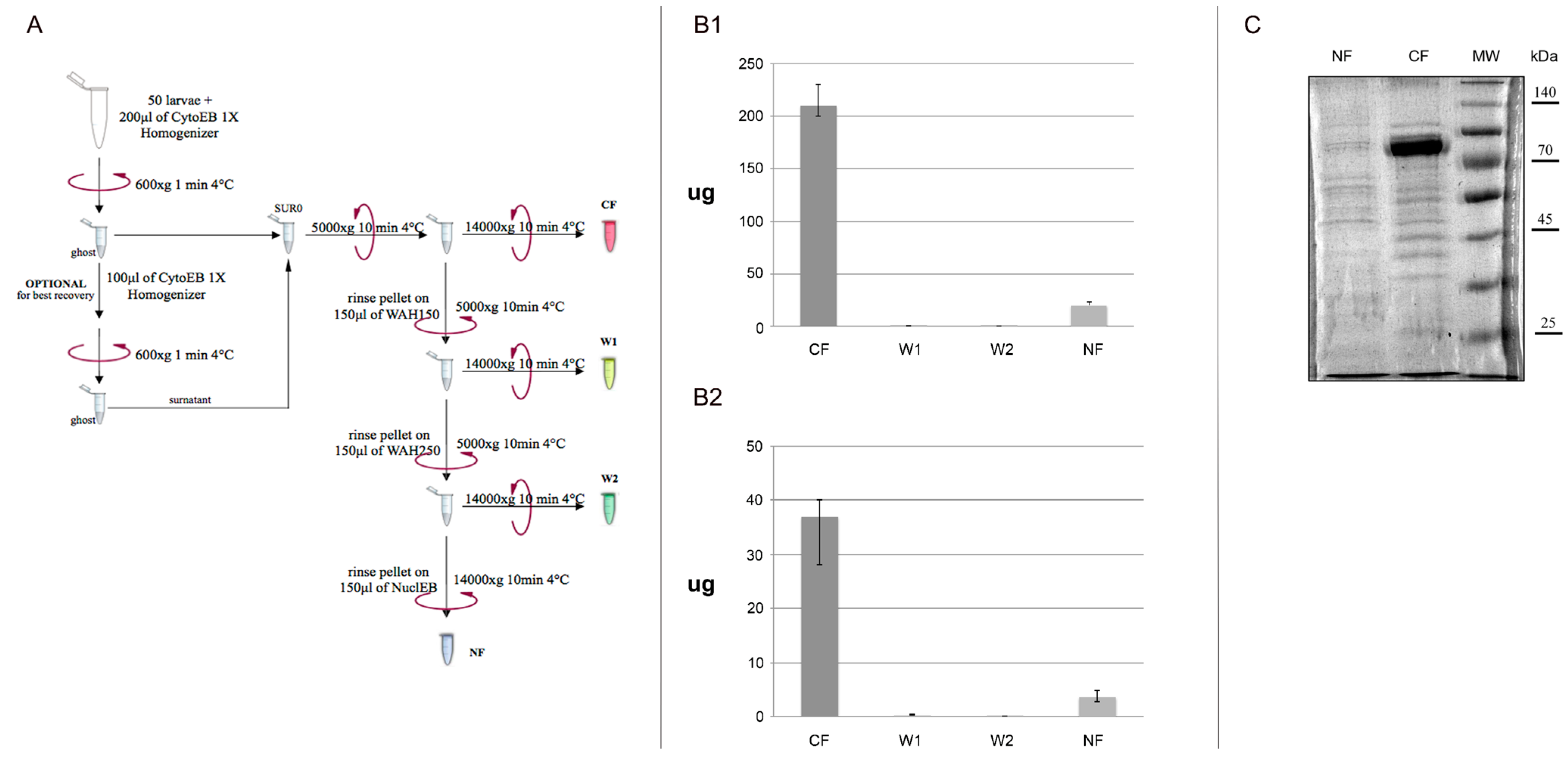 ijms free full text extraction