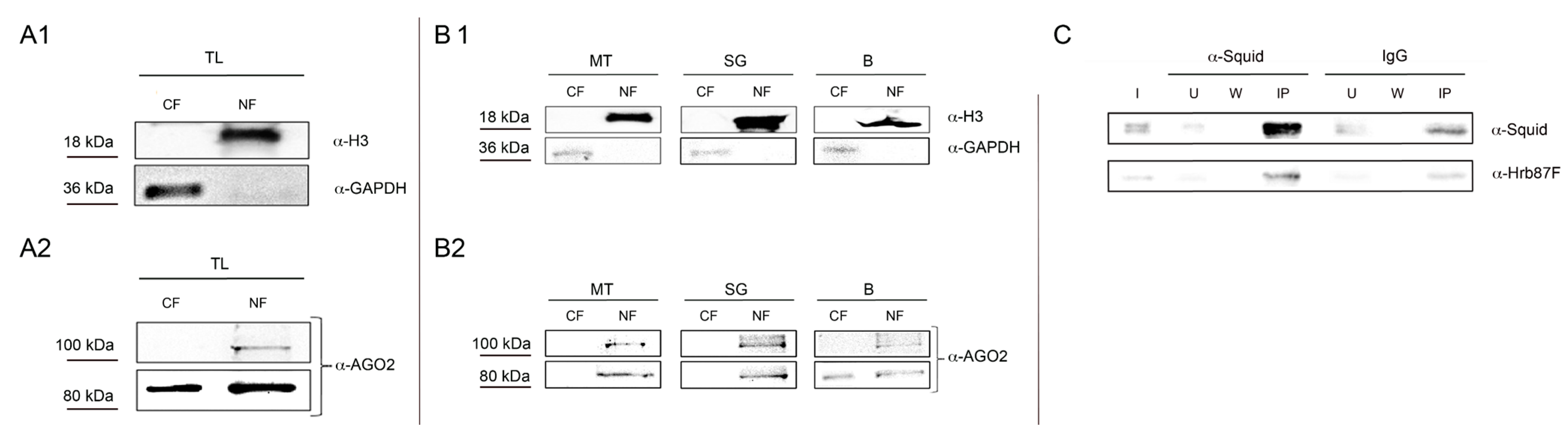 ijms free full text extraction