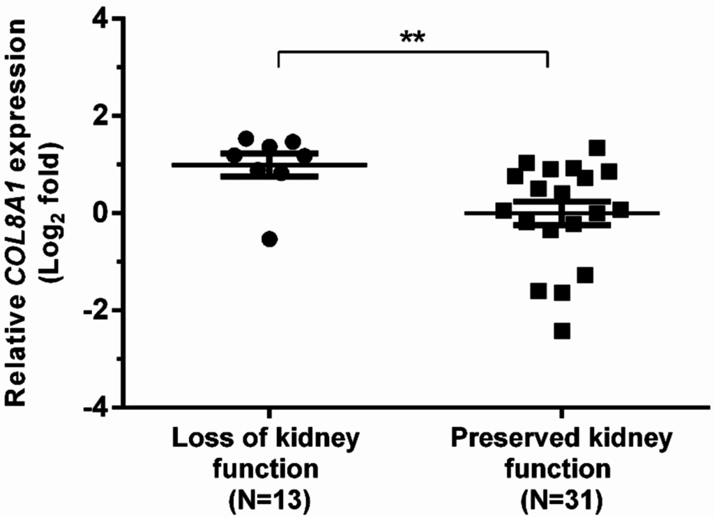 Kidney disorder meals listing dialysis technician earnings in ny