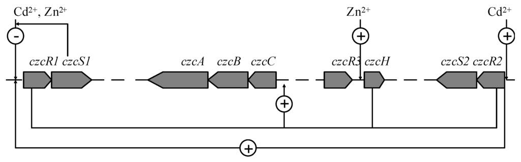 effects if the two factors that creates the environment were to be manipulated Introduction: profusion and varietythere are hundreds of legal systems in the world at the global level, international law is of great importance, whether created by. effects if the two factors that creates the environment were to be manipulated Introduction: profusion and varietythere are hundreds of legal systems in the world at the global level, international law is of great importance, whether created by.