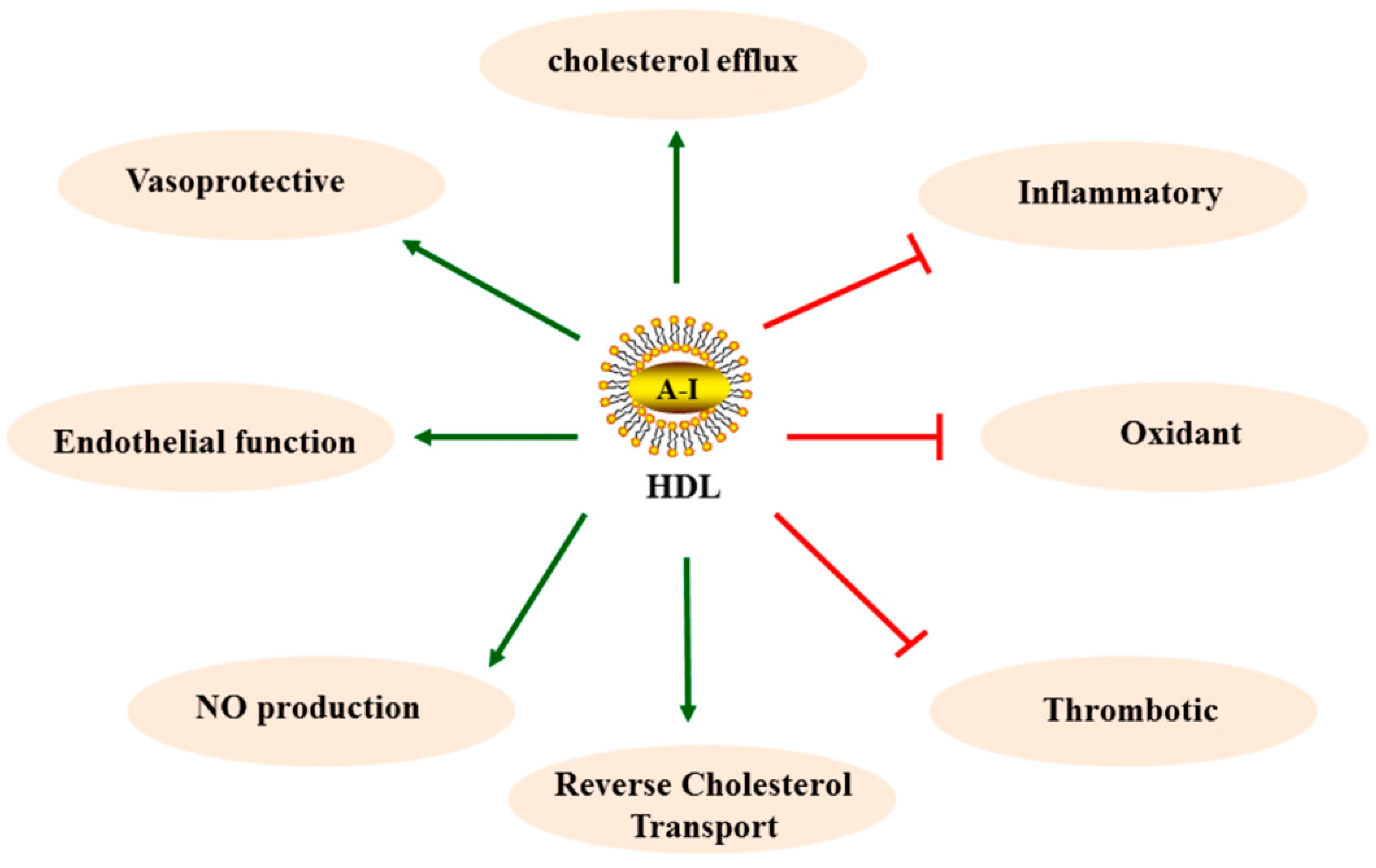 safflower oil weight loss research article Safflower oil weight loss research article show