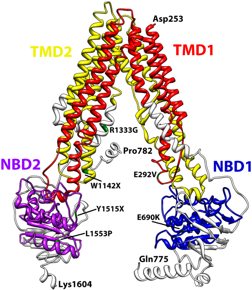 IJMS Free FullText Structural Features of the ATPBinding Cassette