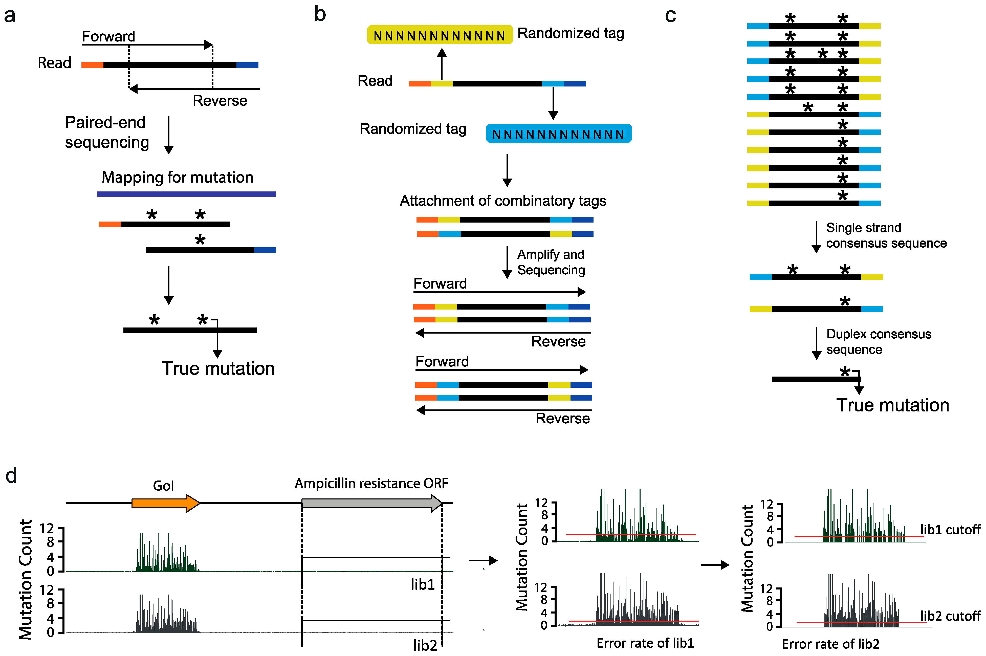 IJMS Free FullText Rational Protein Engineering Guided by Deep