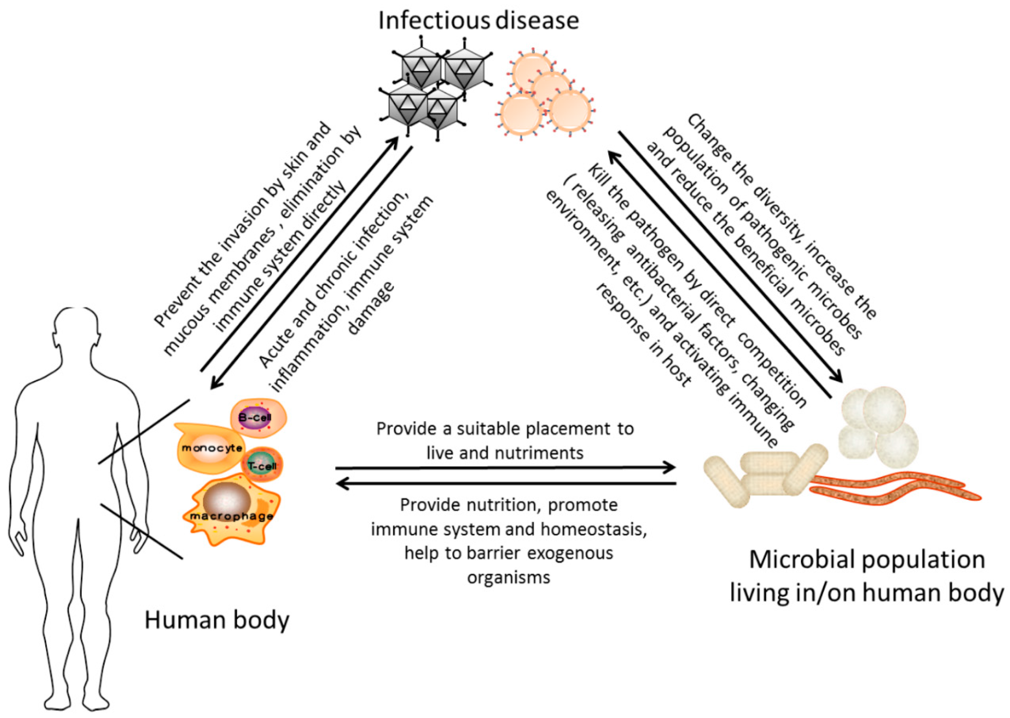 Ijms Free Full Text Metagenomics A New Way To Illustrate The