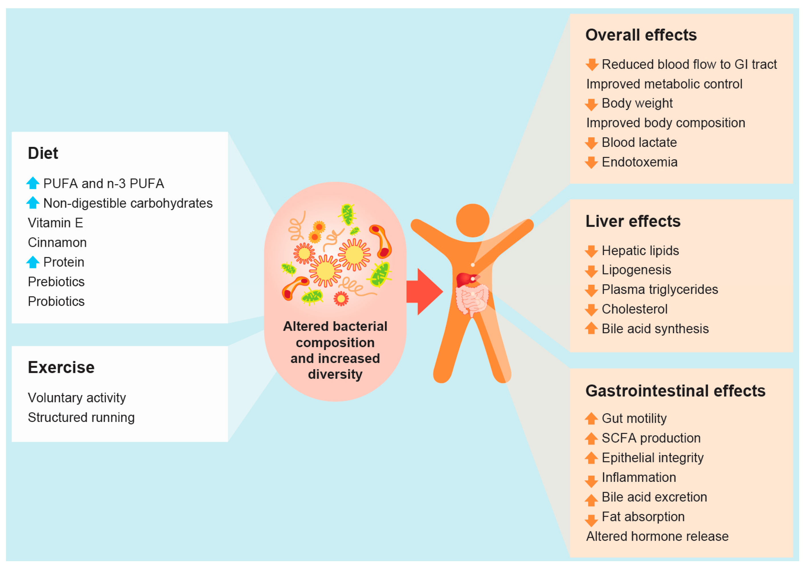 diet to improve gut microbiome pdf
