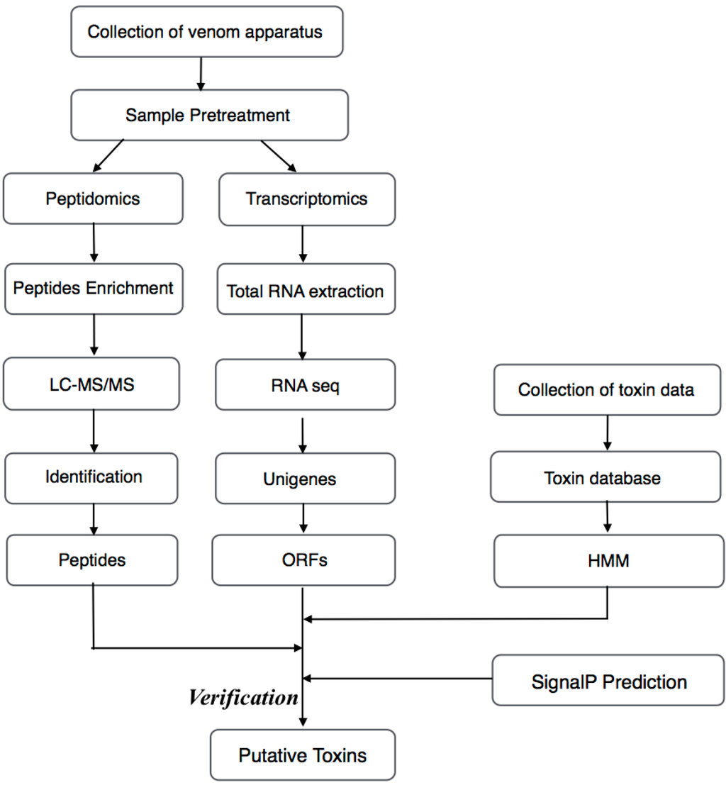 IJMS Special Issue Fish Molecular Biology